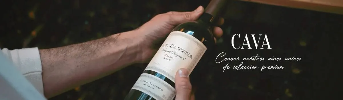 Cava: vinos de selección premium